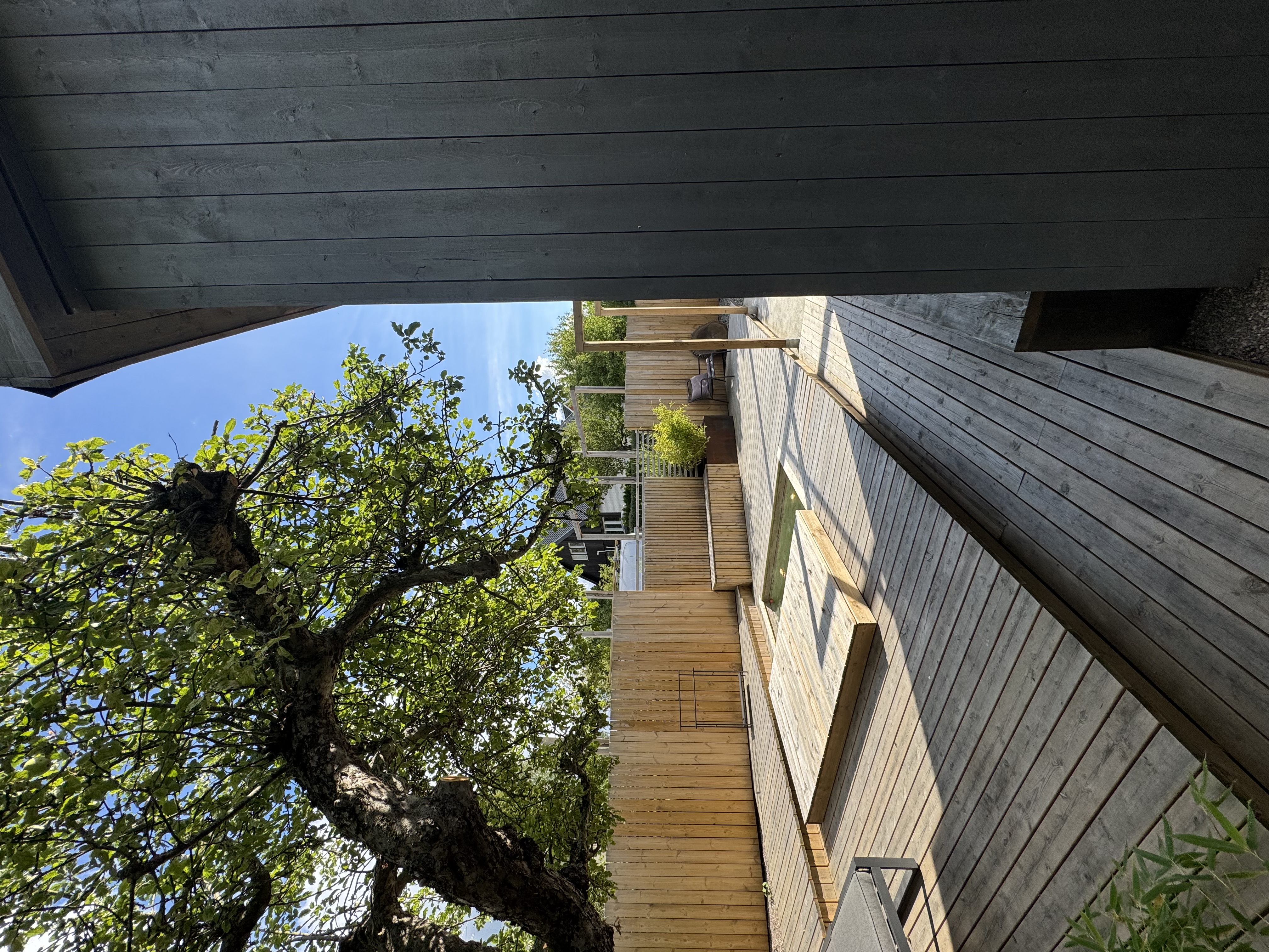 Mosswood Tiny Retreat - Image 2